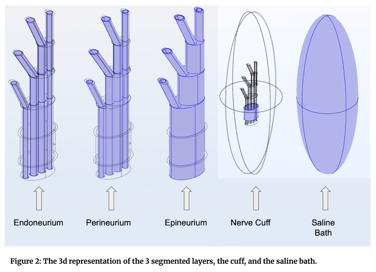 Figure 2. 3D nerve, cuff, and saline-bath geometry used for field solves.
