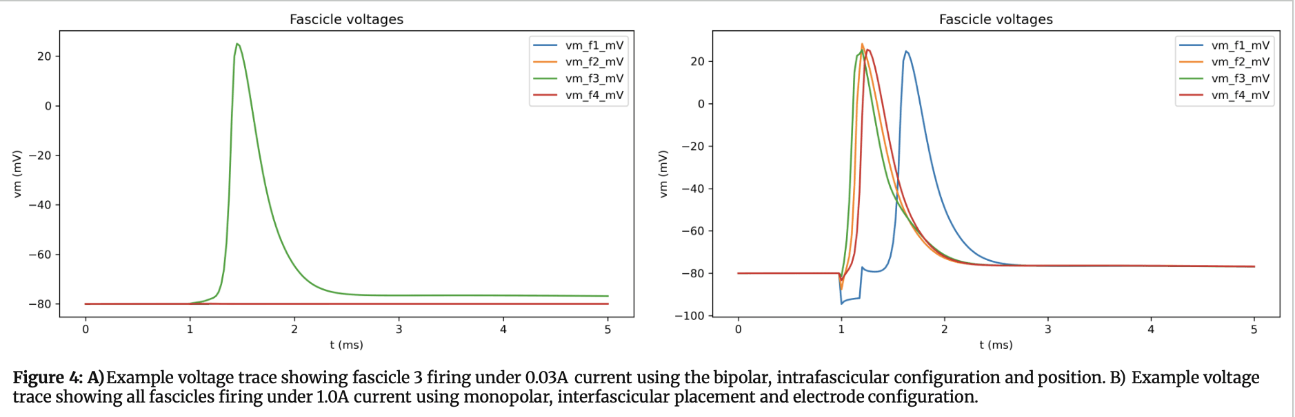 Figure 5. Peak transmembrane voltage versus stimulation amplitude for each fascicle.